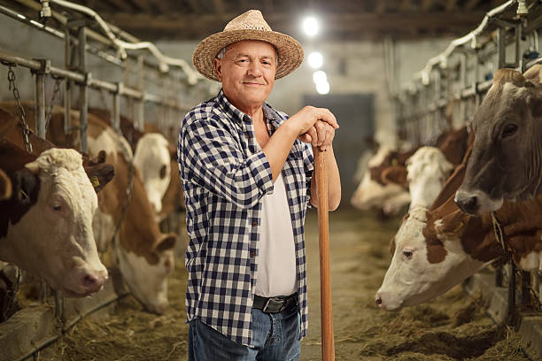 mature farmer posing in a cowshed - rancho imagens e fotografias de stock