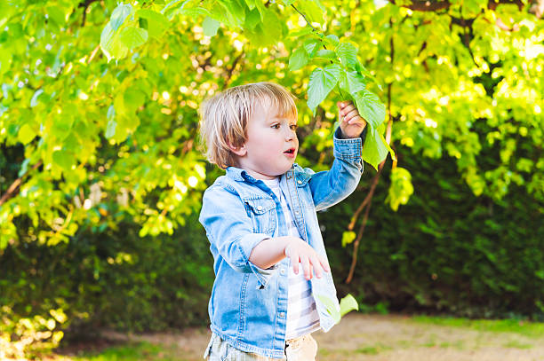 Adorable toddler boy playing with leaves in a park on a nice summer day
