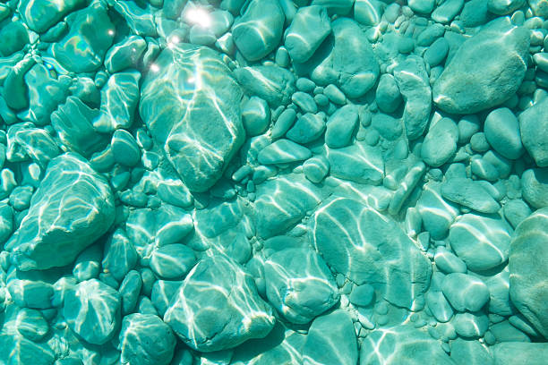 istock Background of rocky sea bed. 623909428