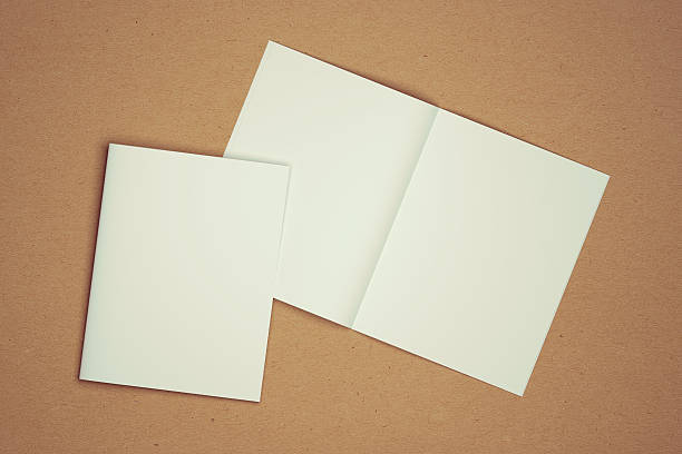 istock Blank 3D illustration open magazine with closed showing cover 623911386