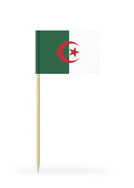istock Small Flag of Algeria on a Toothpick 623919026