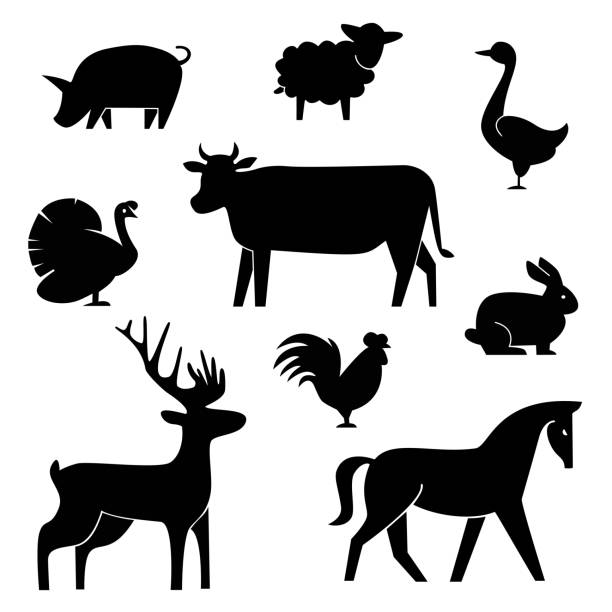 Set of butchery logotype templates. Cartoon farm animals with sample Set of butchery logotype templates. Cartoon farm animals with sample text. Retro styled toy farm animals black silhouettes collection for meat stores, groceries, packaging and advertising. Vector butcher block design. EPS 10 goose meat illustrations stock illustrations