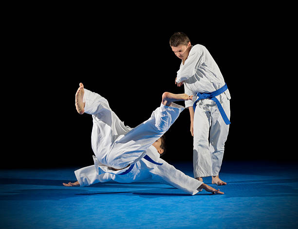 istock Boys martial arts fighters 623924250