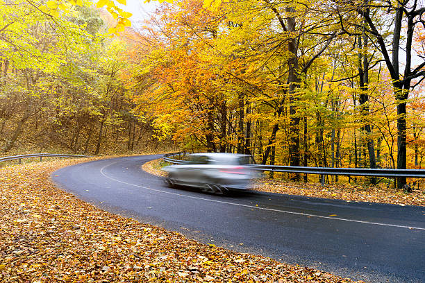 istock Driving through a deciduous forest in the Pilis Mountains 623928592