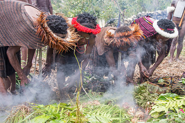 Dani tribe cooking tradition Ugem Village, Baliem, Valley, West Papua, Indonesia - February 15, 2016: Baliem Valley, West Papua, Indonesia, February 15th, 2016: Dani tribe women  adding vegetables into a hole filled with hot stones to be cooked dani stock pictures, royalty-free photos & images