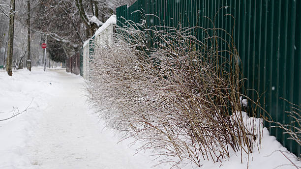istock Snow roads, snow on asphalt, rural roads 623931286