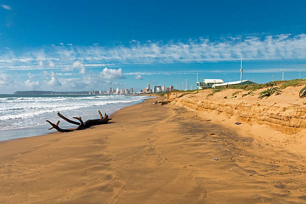 istock Driftwood Log on Empty Beach and  Blue Cloudy Sky 623937410