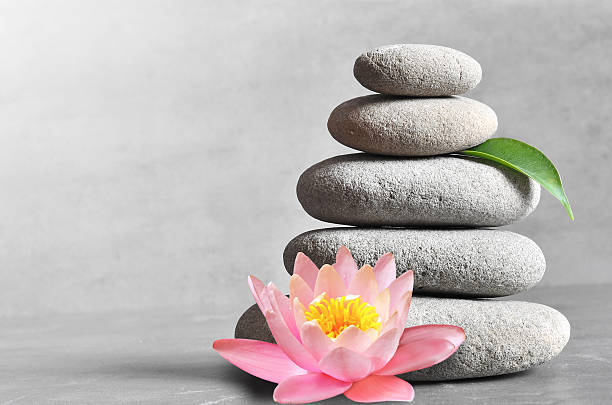 istock stones balance with flower lily on grey background 623942280