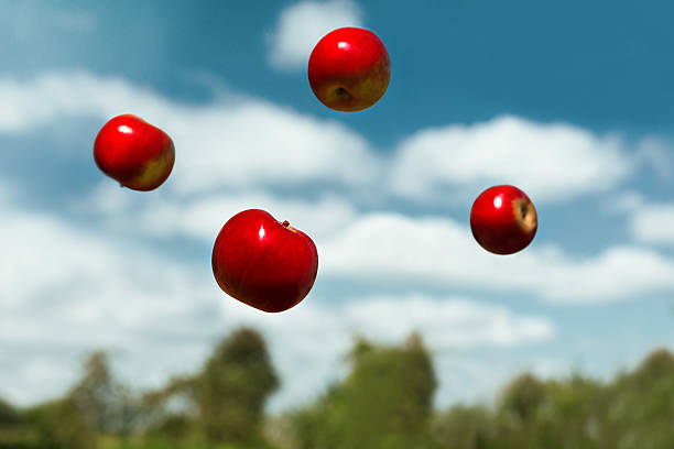 dojrzałe jabłka o zerowej grawitacji wyrzucone w powietrze - freefall zdjęcia i obrazy z banku zdjęć