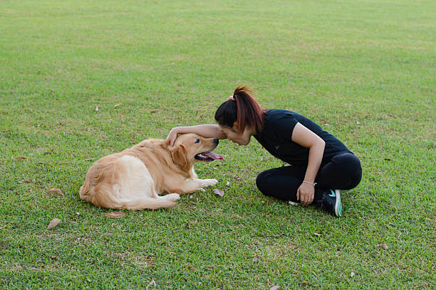istock Girl playing with dog on grass 623954778