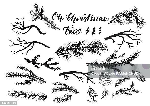 Hand Drawn Pine Spruce Branches Twigs-vektorgrafik och fler bilder på Grankvist - Grankvist, Gren - Plantdel, Tallträd