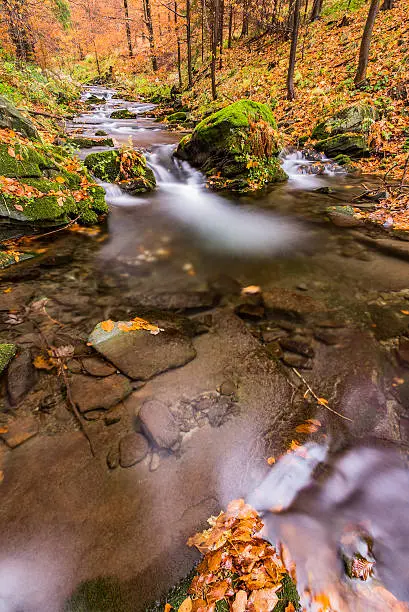 Autumn view of a stream with waterfalls and stones
