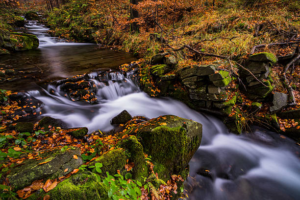istock View of autumn waterfalls 623955176
