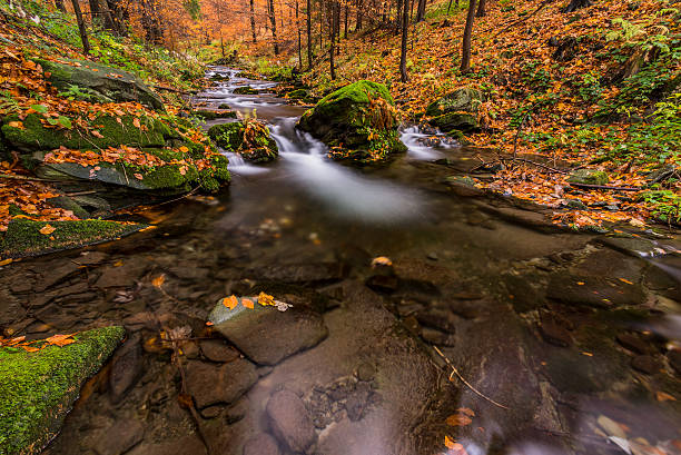istock View of autumn waterfalls 623955278