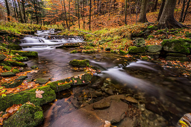 istock View of autumn waterfalls 623955630