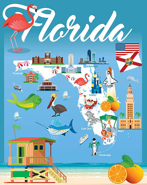 мультяшный карта флорида - florida cartography map florida keys stock illustrations