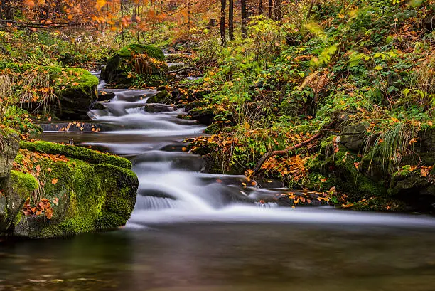Autumn view of a stream with waterfalls and stones