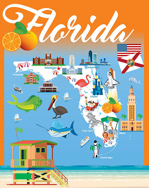 illustrazioni stock, clip art, cartoni animati e icone di tendenza di fumetto mappa della florida - florida state