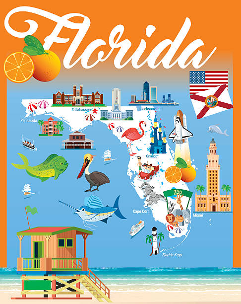 мультяшный карта флорида - florida cartography map florida keys stock illustrations