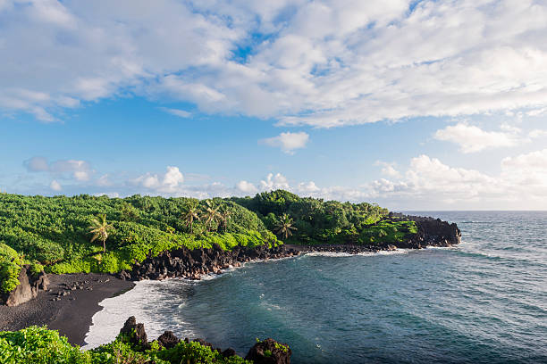 тропический живописный черный песчаный пляж хана мауи гавайи путешествия направления - hana maui sea scenics стоковые фото и изображения