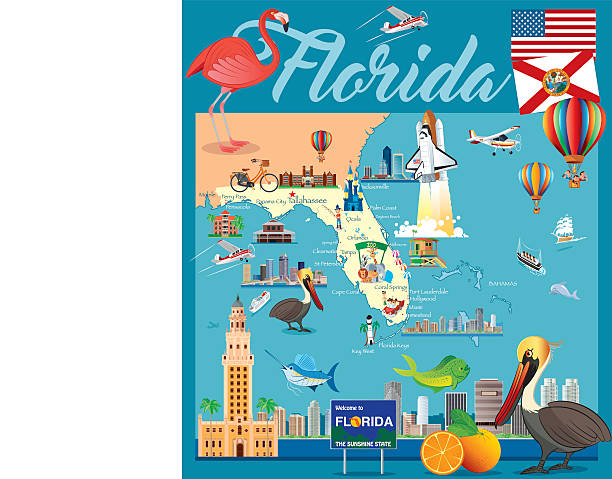 мультяшный карта флорида - florida cartography map florida keys stock illustrations