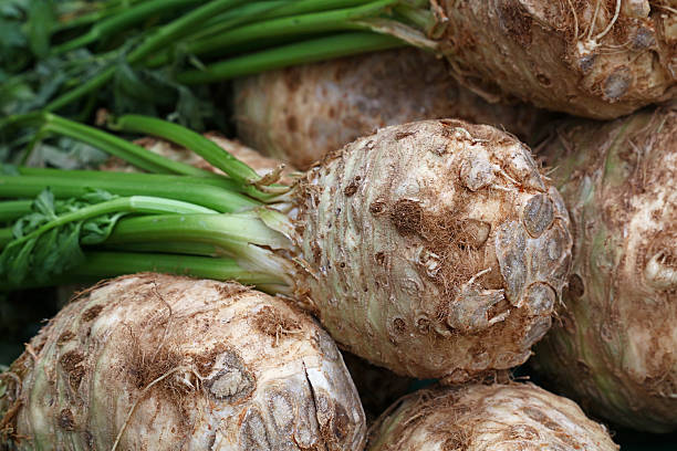 Knob celery with fresh green stalk bunch Knob turnip rooted celery with green stalk bunch on fresh food market stall, close up, low angle view, Celeriac stock pictures, royalty-free photos & images