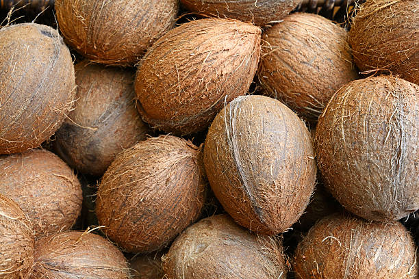 istock Small whole brown coconuts on retail market 623967480