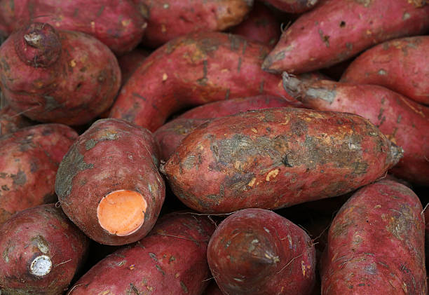 istock Fresh sweet potato roots on retail market 623967538