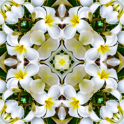 An abstract kalaidoscope effect of a close up of a  beautiful  plumeria flower often used to make leis in Hawaii.
