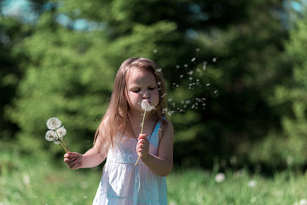 istock Little girl with dandelion 623968554
