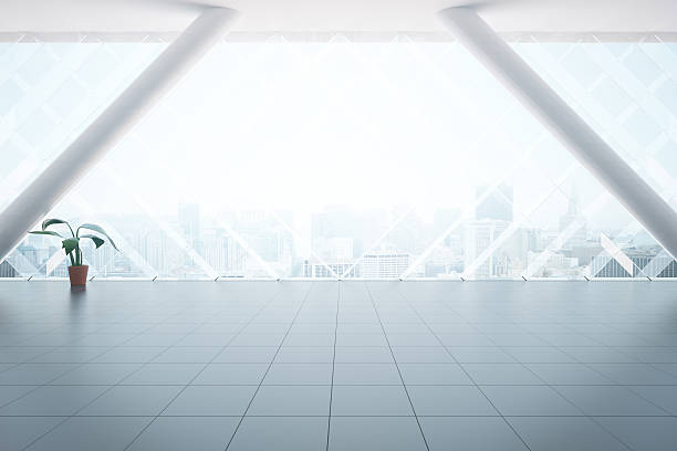 istock Unfurnished interior with plant 623969466