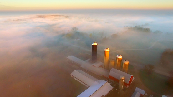 Silos rise above foggy rural landscape, to find the morning sun.