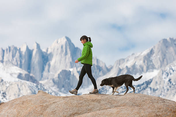 山のハイキングで彼女の犬と女性 - ホイットニー山 ストックフォトと画像