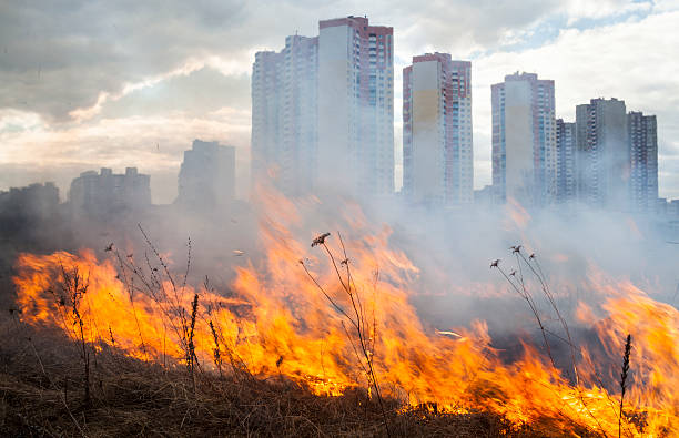 istock Fire in the field near the city 623981650