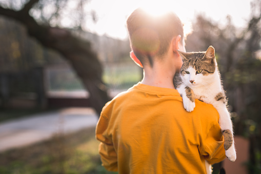 Photo of boy with domestic cat outdoors