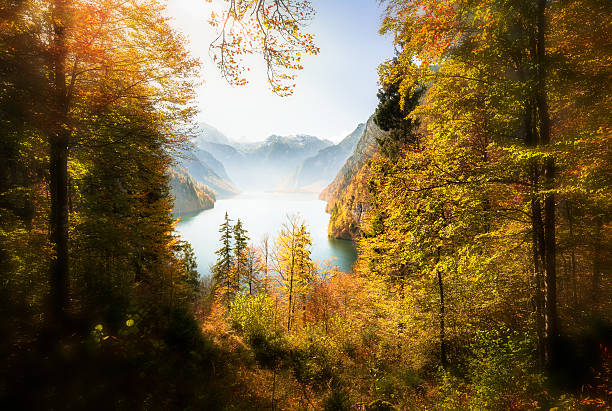 parco nazionale berchtesgaden - koenigsee foto e immagini stock