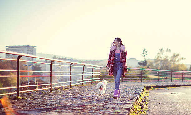 istock Young girl and her dog walking 623982914