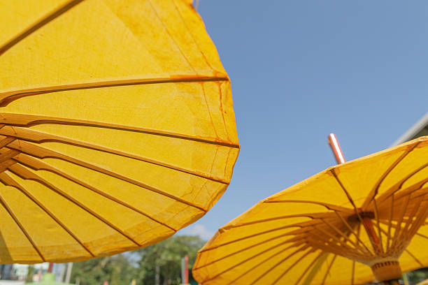 istock Closeup detail Handmade umbrella 623985230
