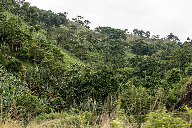 istock Visiting the countryside of Ecuador during a Roadtrip 623997528