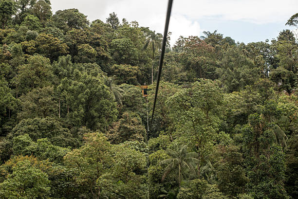 istock Mindo in the tropical rainforest of Ecuador 623997612