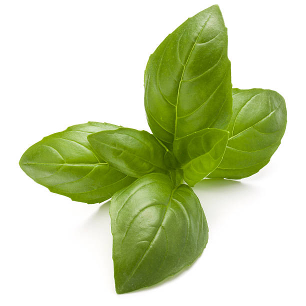 istock Sweet basil herb leaves isolated on white background closeup 623998562
