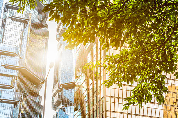 istock portion of trees against office buildings 624004154