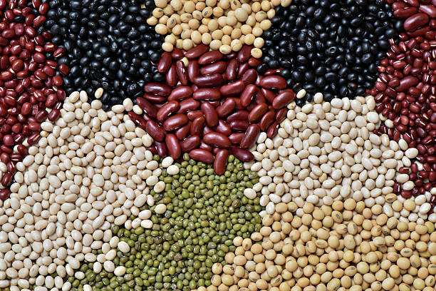 istock Preparation Multicolor legumes organic for cooking 624004278