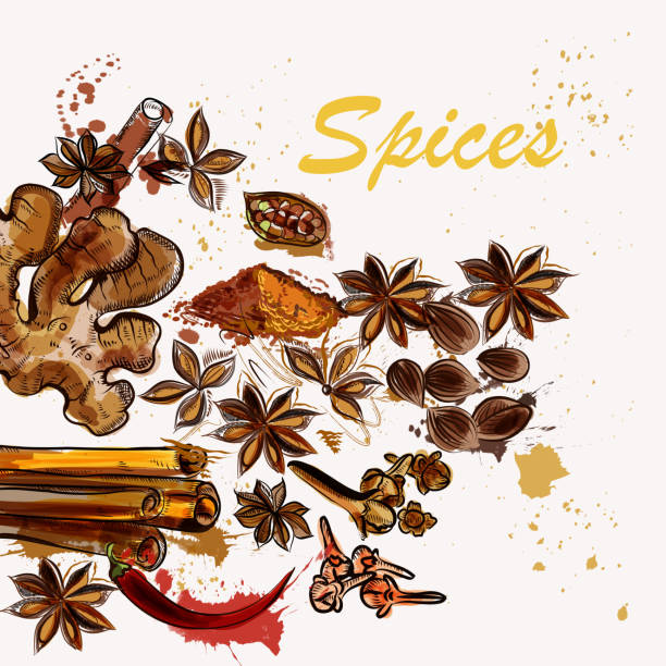 アニススター、コショウ、ジンジャー、グランジと創造的な背景 - spice vanilla ginger pepper点のイラスト素材／クリップアート素材／マンガ素材／アイコン素材