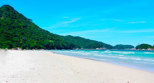 istock Diving in Angra dos Reis, Rio de Janeiro, Brazil 624006522