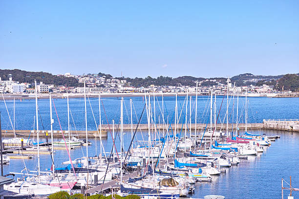 Harbor