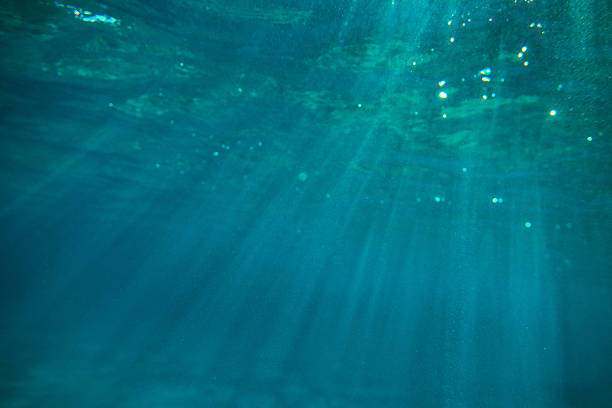istock underwater sea background with sunbeams 624023208