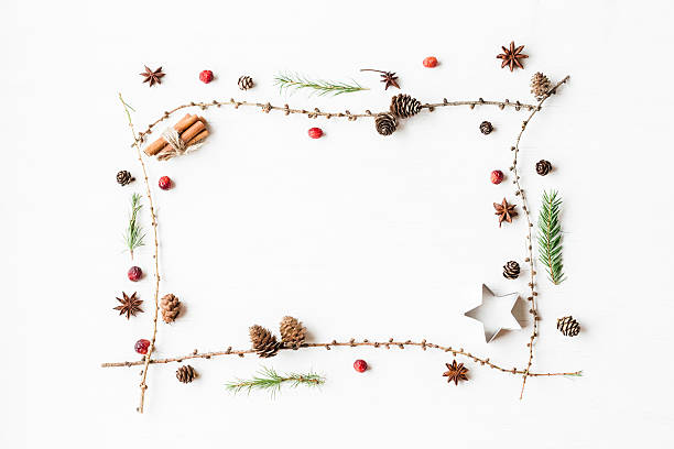 Larch branches, cinnamon sticks, anise star, dried cranberry