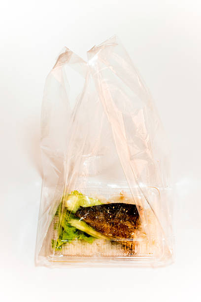 istock Grill fish on rice in plastic box, Take home food 624031574