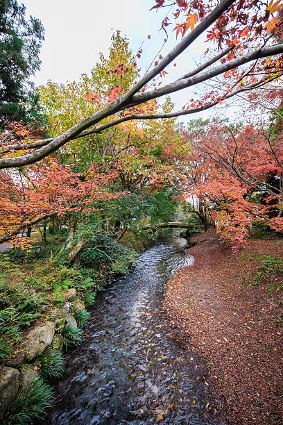 istock Yufuin Town Oita, Japan. 624031576